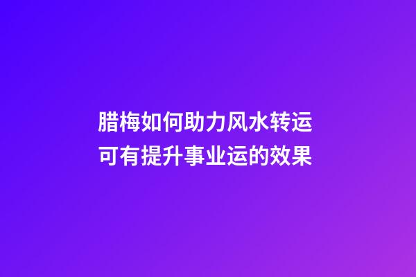 腊梅如何助力风水转运 可有提升事业运的效果